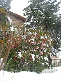 St Jacques 052.jpg St Jacques 052.jpg
